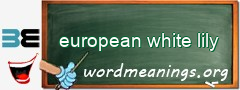 WordMeaning blackboard for european white lily